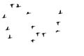 Flock of Flying Ducks Silhouetted on a White Background Royalty Free Stock Photo