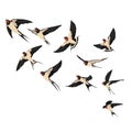 A flock of flying swallows. Vector illustration of cartoon swallows for children. Color drawing flocks of birds.