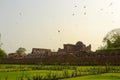 A flock of flyinh birds above the Pillars of Ashoka