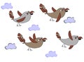 A flock of funny birds - sparrows flying in the clouds. Simple c