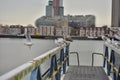 A flock of gulls on the rails of the pier on a cloudy day Royalty Free Stock Photo