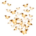 A flock of isolated flying golden butterflies on a white background. Illustration.