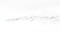 flock of lapwings in flight on white background Royalty Free Stock Photo