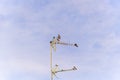 A flock of Laundress birds on a TV antenna against stunning blue sky with clouds