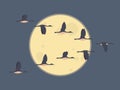 Flock of migrating geese flying. Migratory birds concept. Night sky background with moon Royalty Free Stock Photo