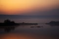 A flock of Migratory birds on the lake