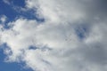 A flock of migratory wild geese flies to warmer climes in October against a cloudy sky over Berlin, Germany.