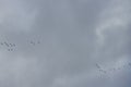 A flock of migratory wild geese flies to warmer climes in October against a cloudy sky over Berlin, Germany.