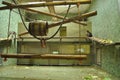 A flock of monkeys in a cage at the zoo in the paddock of baboons