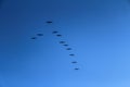 A flock of pelican birds high in the sky Royalty Free Stock Photo