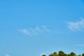 A flock of pelicans flies across the clear blue sky. Royalty Free Stock Photo