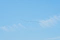 A flock of pelicans flies across the clear blue sky. Royalty Free Stock Photo