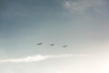 Flock of Pelicans flying in formation in bright blue sky Royalty Free Stock Photo