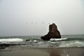 Flock of Pelicans Flying over Davenport Rock