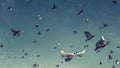 Flock of Pigeons In A Blue Sky, Vintage Toned And Scratches. Freedom Destination Travel Concept