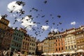 Flock of pigeons flies over famous Old Town Market square with colorful houses in Warsaw, Poland. Rebuild Old town. Royalty Free Stock Photo