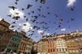 Flock of pigeons flies over famous Old Town Market square with colorful houses in Warsaw, Poland. Rebuild Old town. Royalty Free Stock Photo