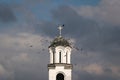Flock of pigeons fly around church bell tower