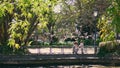 Flock pigeons flying overhead woman squatting near little daughter in sunny park