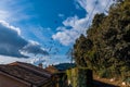 A flock of pigeons flying in the street in Grasse, France Royalty Free Stock Photo