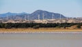 Flock of pink flamingos at the Larnaca salt lake, hills with windmills in background, Cyprus Royalty Free Stock Photo