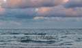 Flock of sandpipers over Atlantic ocean beach