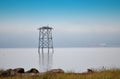 Flock of Sea Birds on a piling