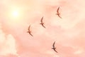 Flock of sea gulls flies against the sunset sky of pink shades, sun shine glare