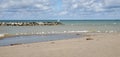 Flock Of Seagulls On A Beach In Presque Isle, Lake Erie