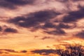 Flock of seagulls flying across colorful sunset sky Royalty Free Stock Photo