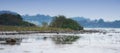 Flock of seagulls flying over sea water in remote coastal city abroad and overseas. Group of white birds soaring Royalty Free Stock Photo