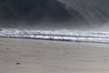 Seagulls on the beach Royalty Free Stock Photo