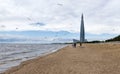 Flock of seagulls over the beach on the Gulf of Finland, St. Pet