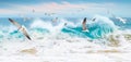 A flock of seagulls over the waves. Ocean storm in Mexico. Baja California Sur.