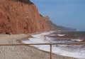 Flock of seagulls perch on the shingle East beach seen through metal railings. The red sandstone cliffs of the Jurassic coast can