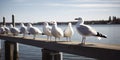 A flock of seagulls perched on a pier, concept of Avian behavior, created with Generative AI technology Royalty Free Stock Photo