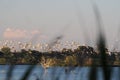 Flock of seagulls, return home at sunset in flocks, Lerida,