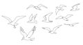 Flock of seagulls. Seabirds flying together, one line seagull and ocean birds vector sketch illustration Royalty Free Stock Photo