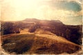 Flock of sheep on beautiful mountain meadow, old photo effect. Royalty Free Stock Photo