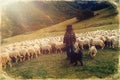 Flock of sheep on beautiful mountain meadow, old photo effect. Royalty Free Stock Photo