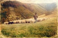 Flock of sheep on beautiful mountain meadow, old photo effect. Royalty Free Stock Photo