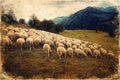 Flock of sheep on beautiful mountain meadow, old photo effect. Royalty Free Stock Photo