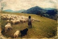 Flock of sheep on beautiful mountain meadow, old photo effect. Royalty Free Stock Photo