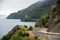 Flock of sheep being herded down a rural, highway road to Queenstown on New Zealand`s South Island Royalty Free Stock Photo