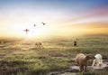 Flock of sheep on cross of Jesus christ and sunset background Royalty Free Stock Photo