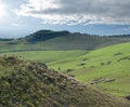 Flock Of Sheep And Farmland