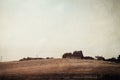 A flock of sheep in a field on a summer`s evening with farm buildings on a hill. With an artistic edit. Worcestershire, UK