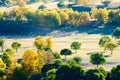 The flock of sheep or goats on the autumn meadows Royalty Free Stock Photo