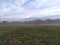 Flock of sheep grazing on a field in the fog Royalty Free Stock Photo