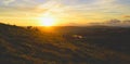 Flock of sheep grazing at sunrise Royalty Free Stock Photo